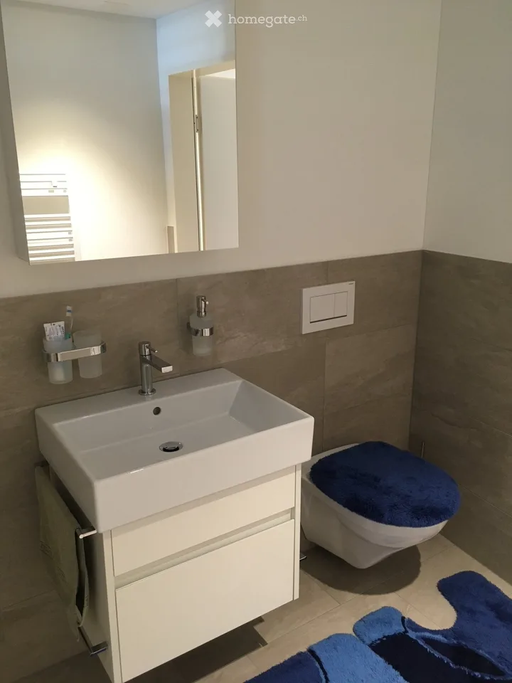 Appartement 2.5 pièces
