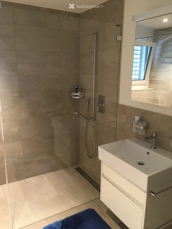 Appartement 2.5 pièces