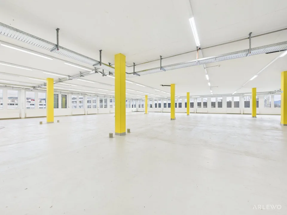 Intero edificio commerciale/uffici per un solo inquilino – foto 6 di 14