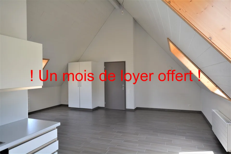 Joli studio de 47 m2 à Fontenais