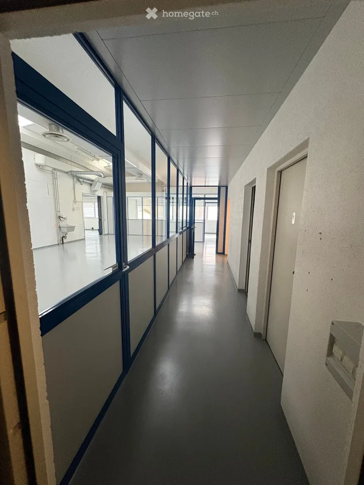 Spazio industriale moderno a Losone - Via Zandone