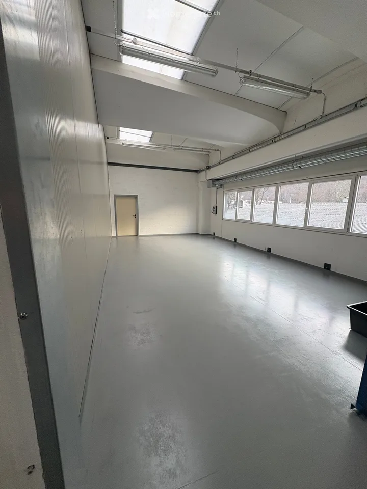 Spazio industriale moderno a Losone - Via Zandone