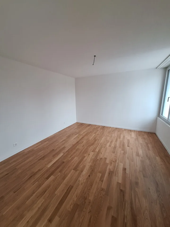 Nouvel appartement attique de 3,5 pièces rénové
