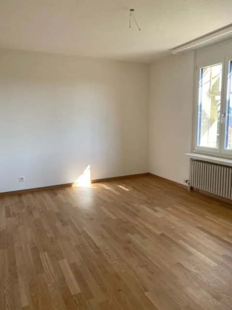 Renovierte 4 1/2-Zimmerwohnungen an ruhiger Lage zu vermieten!