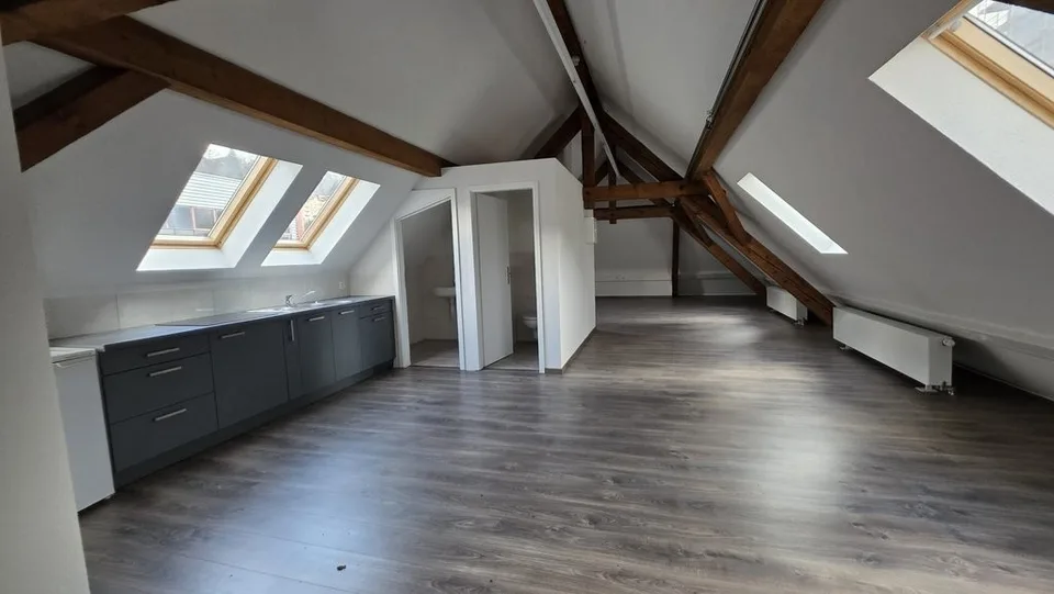 Duplex 100 m2 / Gewerberaum oder Wohnung Innenstadt