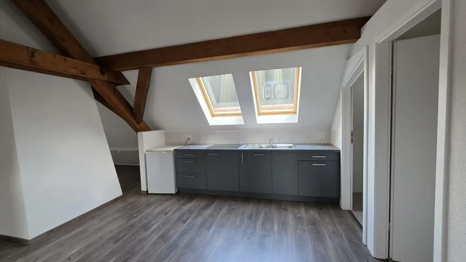 Duplex 100 m2 / Gewerberaum oder Wohnung Innenstadt