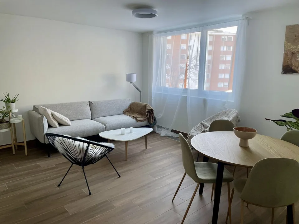 Zweieinhalbzimmerwohnung zur Miete für ein Jahr