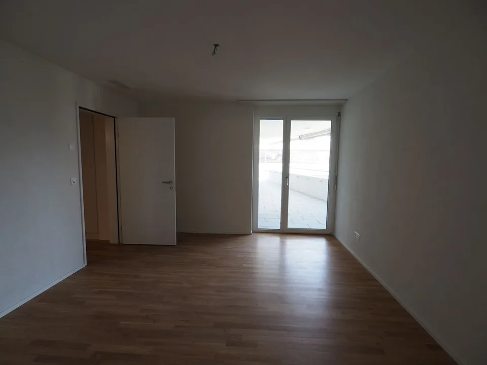 central - modern - cozy