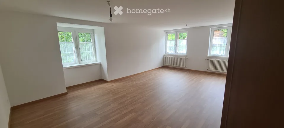 Charmant appartement de 5,5 pièces dans un immeuble ancien au rez-de-chaussée surélevé à Nussbaumen TG