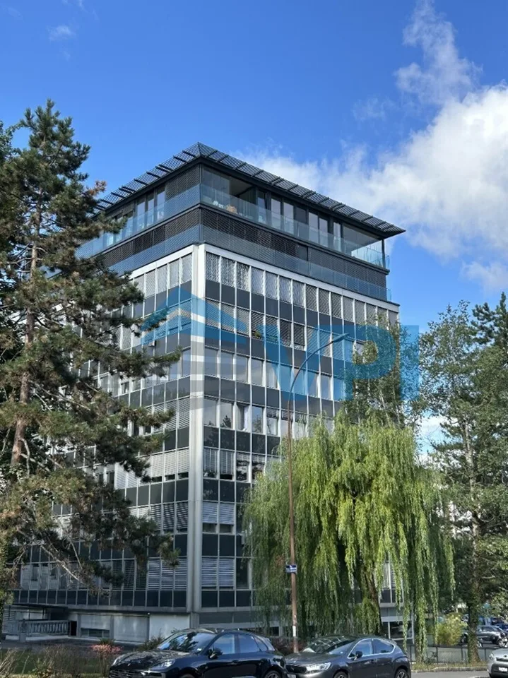 Au coeur de Champel - Bureaux de 199 m2 au 2ème étage