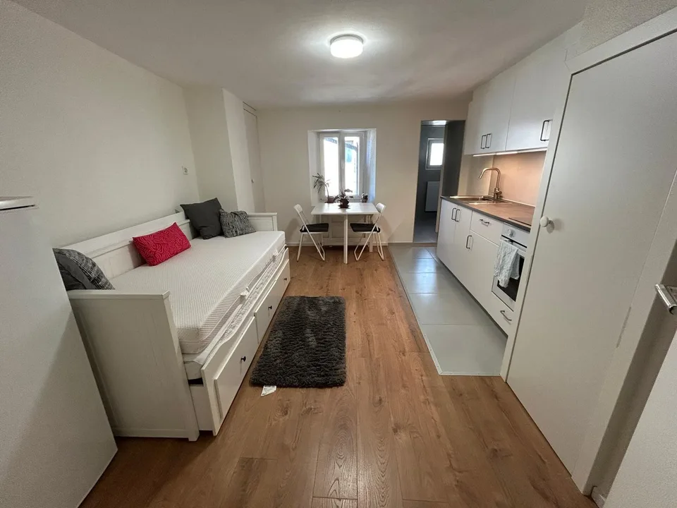 NUOVO – 5,5 locali e studio per Airbnb o attività indipendente