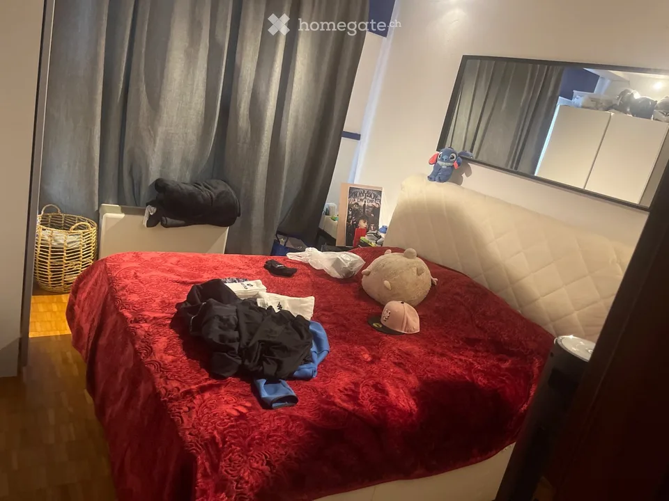 Recherche remplaçant pour 5,5 pièces