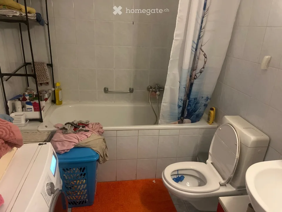 Recherche remplaçant pour 5,5 pièces