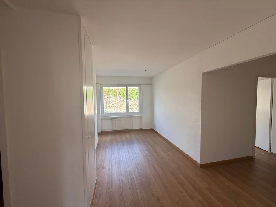 Sonnige und geräumige 4.5-Zimmerwohnung (10013)