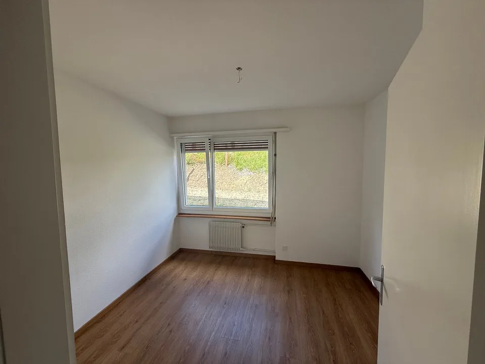 Sonnige und geräumige 4.5-Zimmerwohnung (10013)