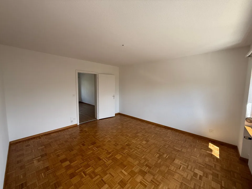 Sonnige und geräumige 4.5-Zimmerwohnung (10013)
