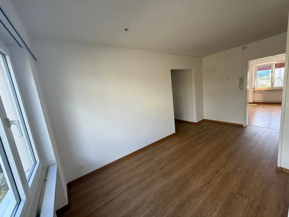 Sonnige und geräumige 4.5-Zimmerwohnung (10013)