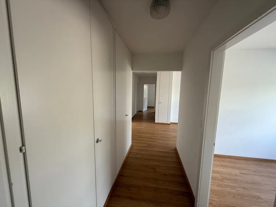 Sonnige und geräumige 4.5-Zimmerwohnung (10013)