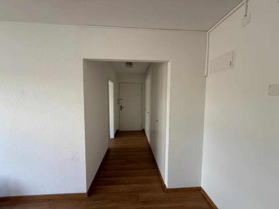 Sonnige und geräumige 4.5-Zimmerwohnung (10013)