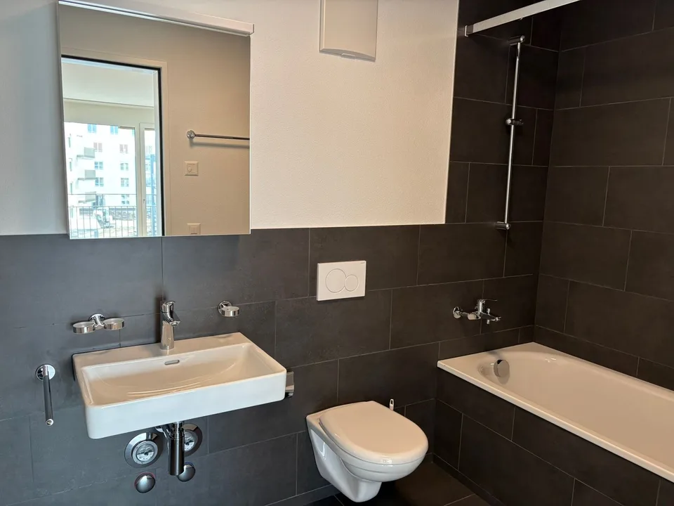 Moderne 3.5-Zimmer-Wohnungen in Egnach mit Seesicht