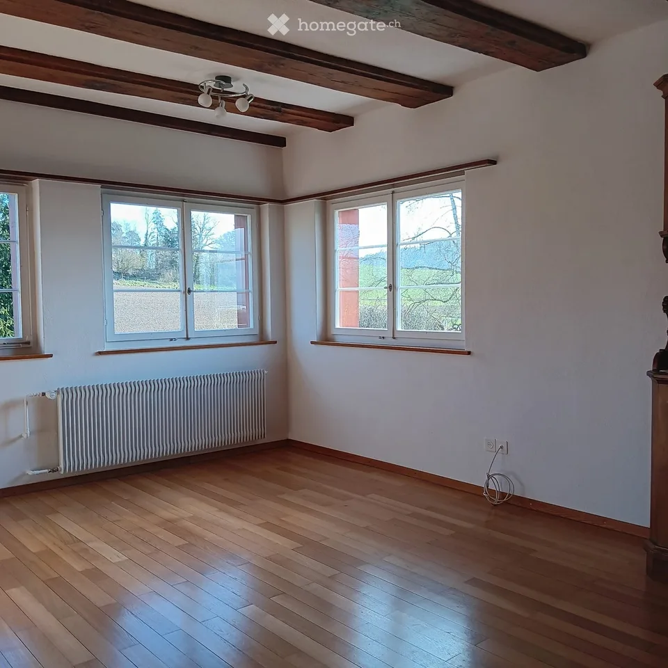 Très grand appartement 4.5 pièces avec 2 pièces de passage supplémentaires