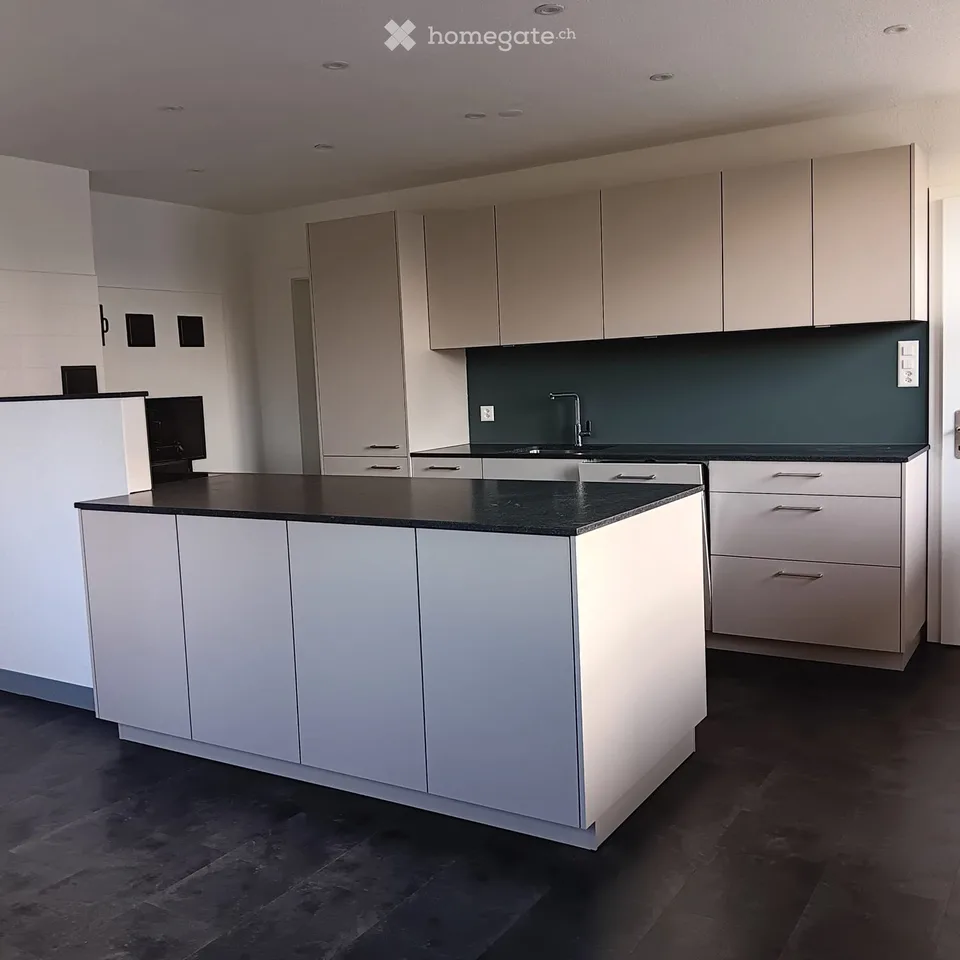 Très grand appartement 4.5 pièces avec 2 pièces de passage supplémentaires