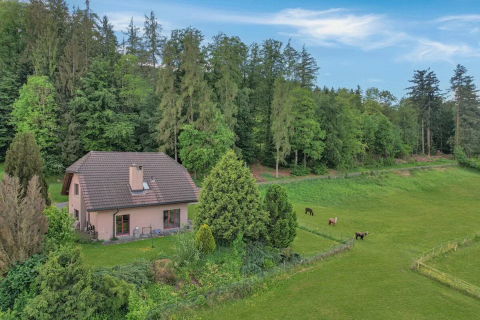 Familienidylle mit traumhafter Weitsicht - Ein Zuhause voller Ruhe, Natur und Lebensqualität