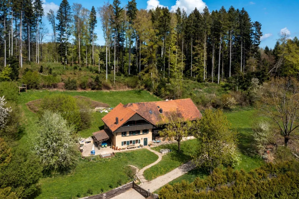 En lisère de forêt, spacieuse ferme avec piscine
