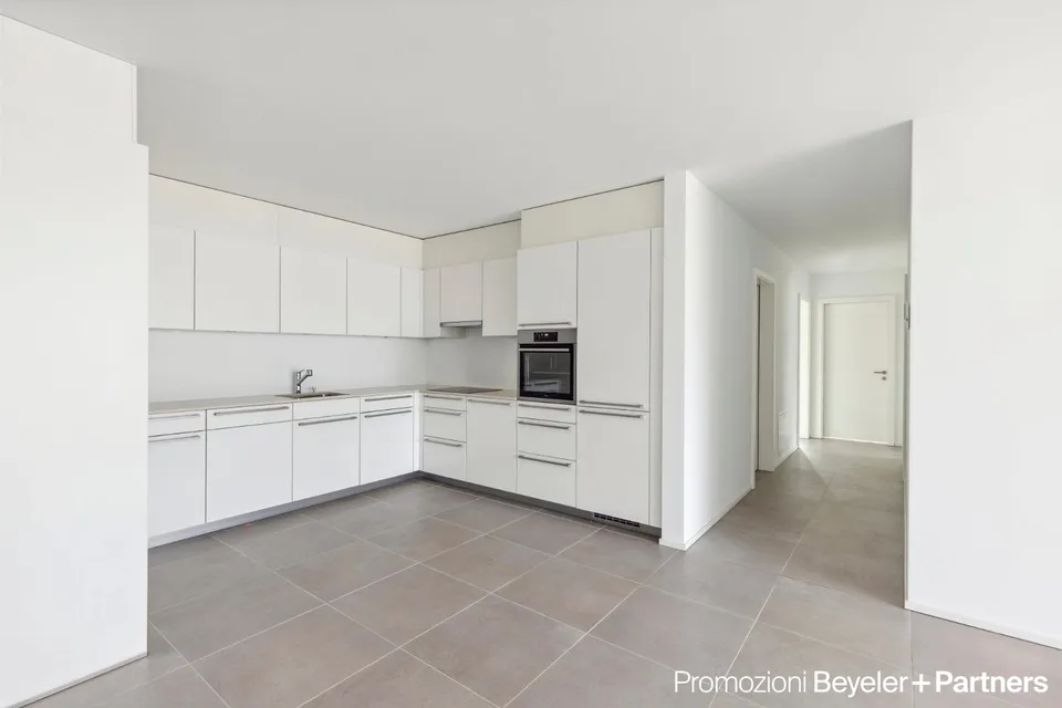 Elegante appartamento 4.5 locali con terrazza, stupenda vista sul Lago Maggiore