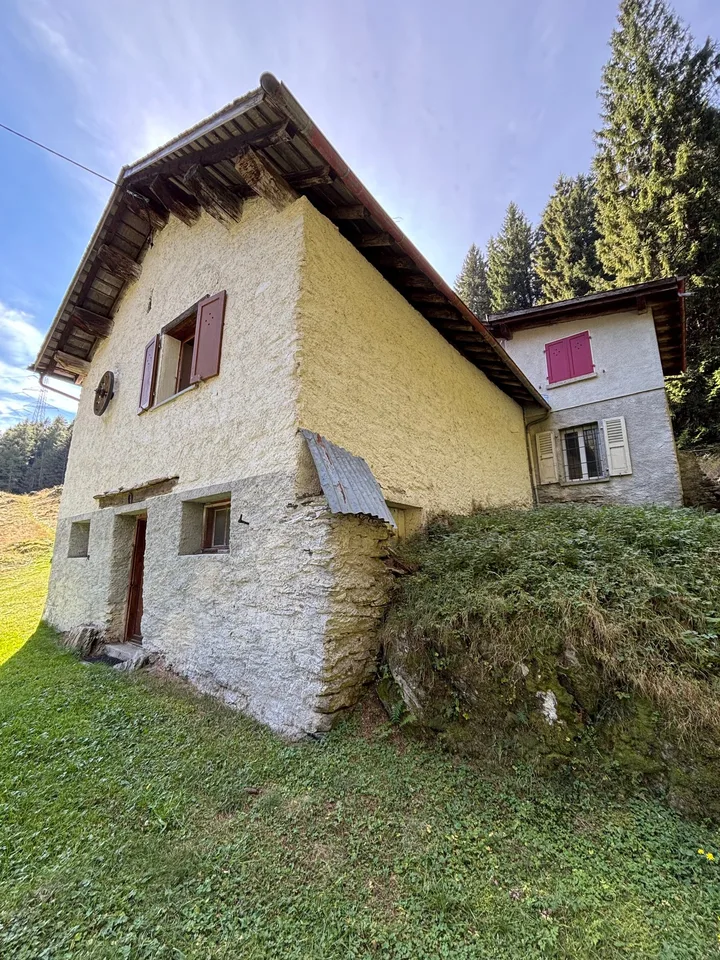 Une ferme immergée dans le verdure à Pian San Giacomo – photo 13 sur 14
