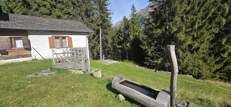 Une ferme immergée dans le verdure à Pian San Giacomo – photo 14 sur 14
