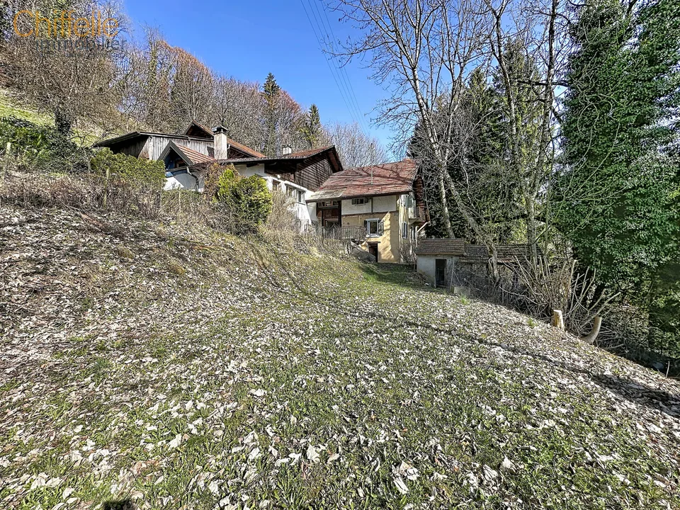 Charmante ferme de 3 appartements + annexes à rénover !