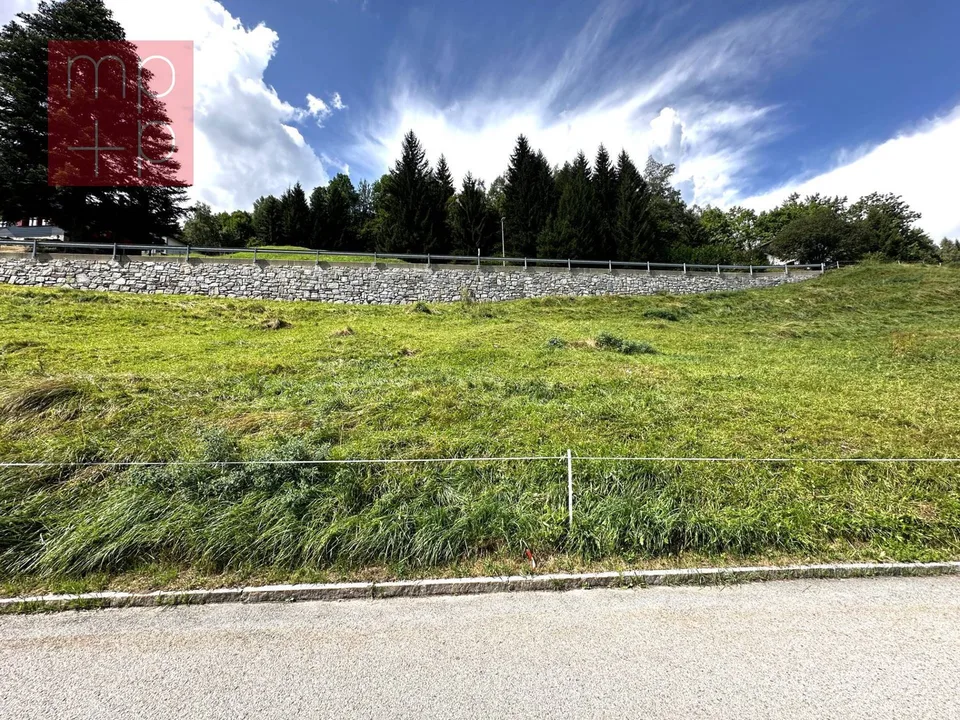 Terrain à bâtir - Dalpe