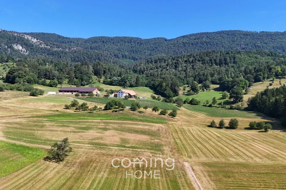 Ihr Bauland in Aedermannsdorf - sonnige, ruhige Lage mit guter Anbindung