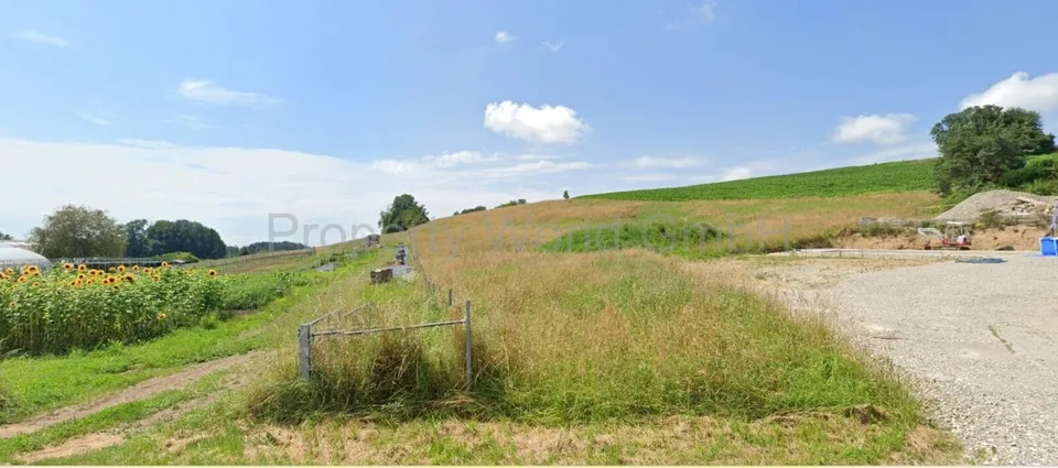 Progetto di costruzione nuova a Lamperswil - vivere in armonia con la natura