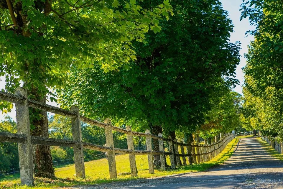 Esclusiva Tenuta di 80ha con Lago di 10ha