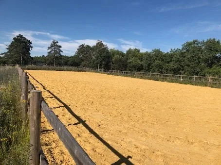 Esclusiva Tenuta di 80ha con Lago di 10ha – Foto 7 von 11