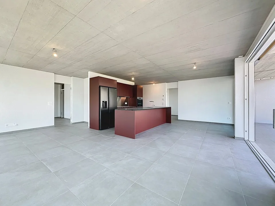 Attique lumineux avec vaste balcon