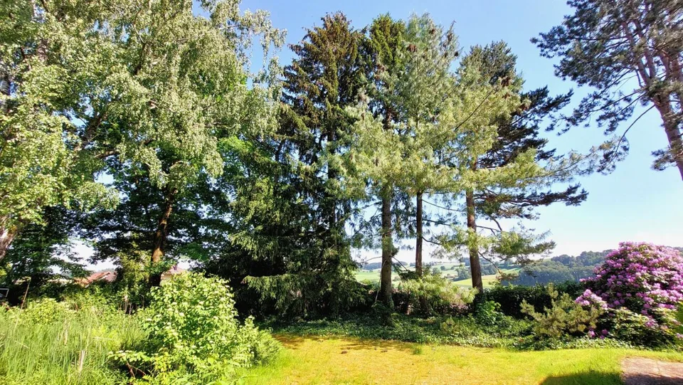 Casa di campagna con grande giardino e riserva di terreno edificabile
