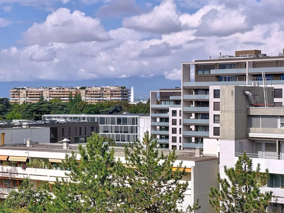 Prächtige 4-Zimmer-Wohnung mit Blick auf den Jet d'Eau – Foto 8 von 11