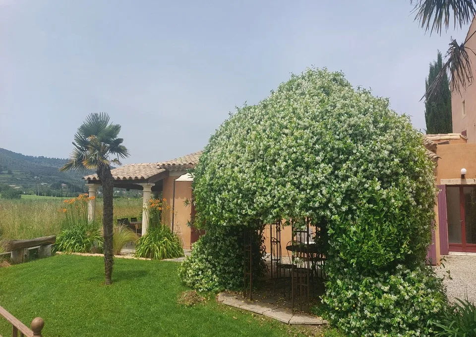 ECCEZIONALE - Magnifico Mas la Musardière con 24 locali e dépendance ad Alba la Romaine