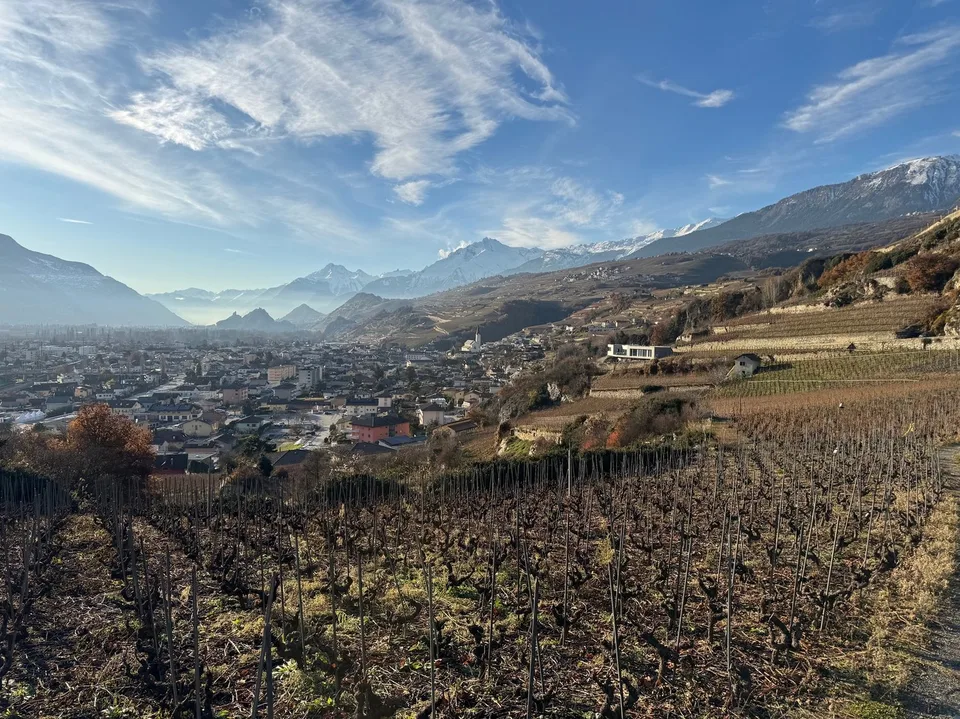Terrain / St-Léonard / Non morcelable ! / EXCLUSIVITE / réf. 10245452
