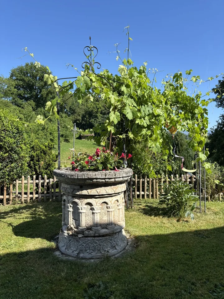Selten: 2 Häuser mit Solaranlage + Wärmepumpe · Pool · 5 Minuten von Yverdon