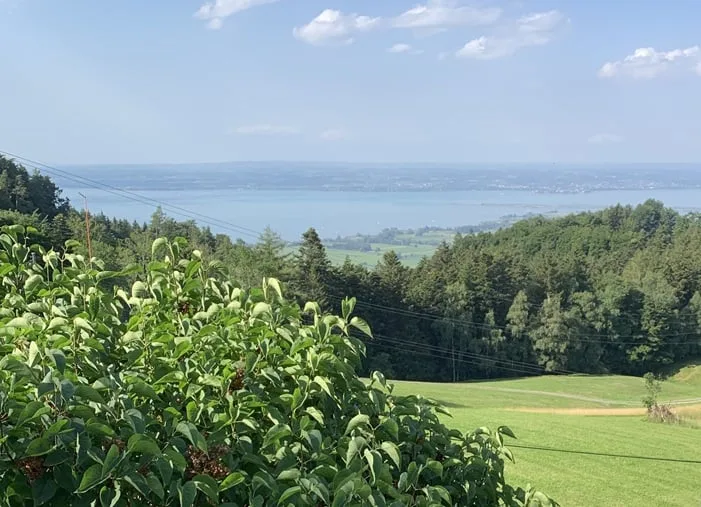 Casa unifamiliare di 5½ locali in una posizione da sogno alta sopra il lago di Costanza