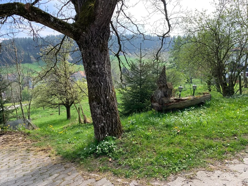 Freistehendes 5½ Zimmer EFH an Traumlage hoch über dem Bodensee – Foto 9 von 11