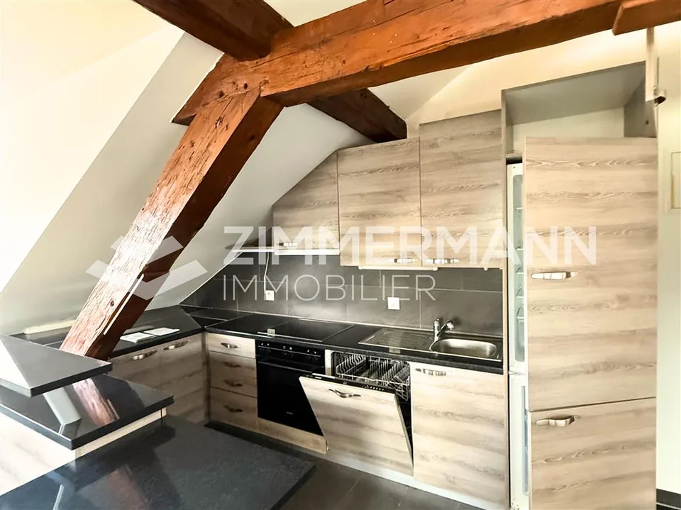 Apartment,1.5,52