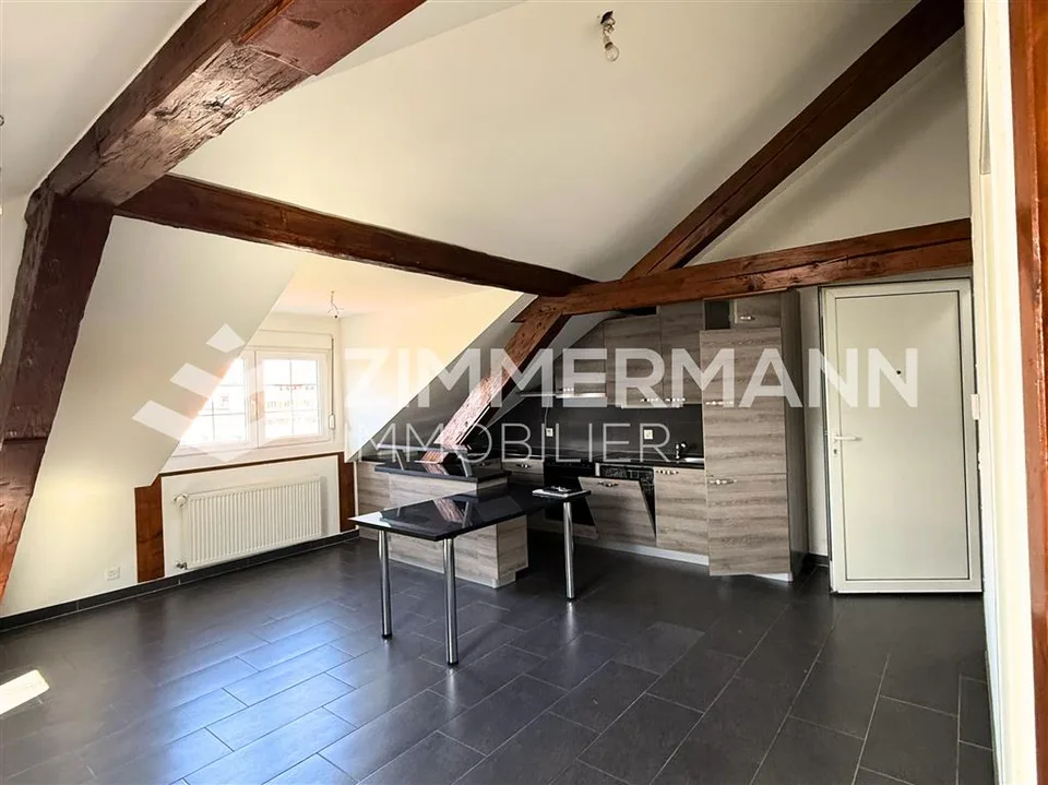 Apartment,1.5,52