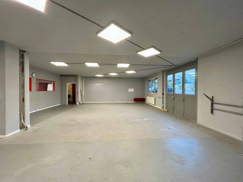 Laboratorio, deposito, locali di 490 m2 in affitto a Losanna