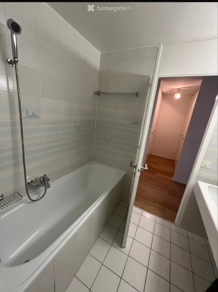 ( urgente ) duplex 6 pezzi 180m2 campagna ginevrina