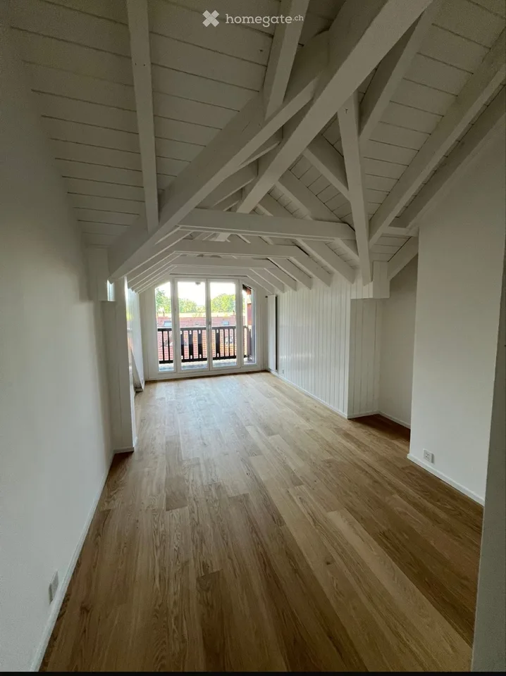 ( urgente ) duplex 6 pezzi 180m2 campagna ginevrina